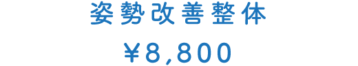 姿勢改善整体